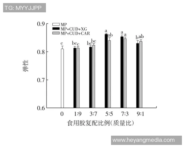 杭州网球队团队协作表现分析及其对比赛成绩的影响探讨